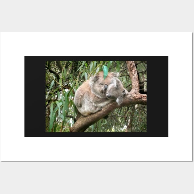 Koala bear mother and baby Wall Art by rozmcq